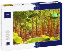 Lais Puzzle - Bananenplantage in der Provinz Magdalena, Kolumbien - 500 Teile