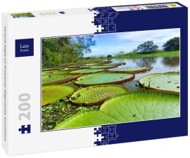Lais Puzzle - Victoria Regia im Amazonas-Regenwald, Kolumbien - 200 Teile