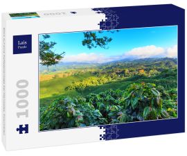 Lais Puzzle - Blick auf eine Kaffeeplantage bei Manizales, Kolumbien - 1.000 Teile