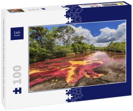 Lais Puzzle - Cano Cristales (Fluss der fünf Farben), La Macarena, Meta, Kolumbien - 100 Teile
