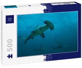 Lais Puzzle - Gebogene Hammerhaie in der abgelegenen Offshore-Insel Malpelo, UNESCO-Weltkulturerbe in Kolumbien - 500 Teile