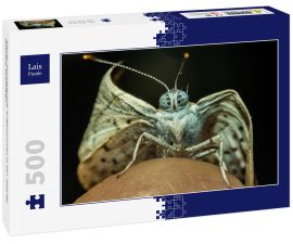 Lais Puzzle - Kleiner Schmetterling, aufgenommen in San José del Guaviare, Kolumbien - 500 Teile