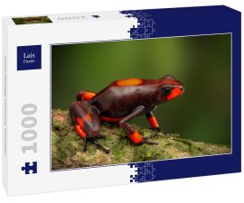 Lais Puzzle - Frosch Oophaga histrionica, Kolumbien - 1.000 Teile