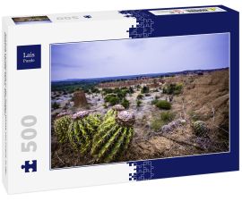 Lais Puzzle - Schöne Landschaft in der Roten Wüste von Cuzco, in der Tatacoa-Wüste, Huila, Kolumbien - 500 Teile