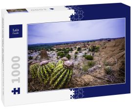 Lais Puzzle - Schöne Landschaft in der Roten Wüste von Cuzco, in der Tatacoa-Wüste, Huila, Kolumbien - 1.000 Teile