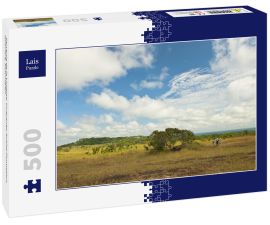 Lais Puzzle - Serrania de la Lindosa, Guayanes-Schild-Formation, Guaviare, Kolumbien - 500 Teile