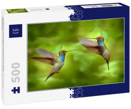 Lais Puzzle - Kolibri im Flug, Naturhabitat grüner Wald, Weißschwanz-Bergstar, Urochroa bougueri, Montezuma, Kolumbien - 500 Teile
