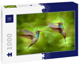 Lais Puzzle - Kolibri im Flug, Naturhabitat grüner Wald, Weißschwanz-Bergstar, Urochroa bougueri, Montezuma, Kolumbien - 1.000 Teile