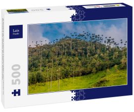 Lais Puzzle - El Bosque de Las Palmas Landschaften von Palmen im Tal Cocora bei Salento Quindio in Kolumbien - 500 Teile