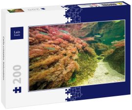 Lais Puzzle - Caño cristales, Kolumbien - 200 Teile