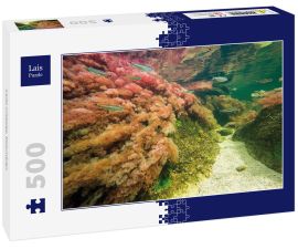 Lais Puzzle - Caño cristales, Kolumbien - 500 Teile