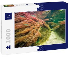 Lais Puzzle - Caño cristales, Kolumbien - 1.000 Teile