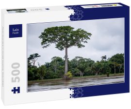 Lais Puzzle - Fluss Guaviare in Inirida Guainia, Kolumbien - 500 Teile