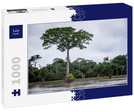 Lais Puzzle - Fluss Guaviare in Inirida Guainia, Kolumbien - 1.000 Teile
