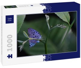 Lais Puzzle - Schmetterling Florencia, Caquetá, Kolumbien - 1.000 Teile
