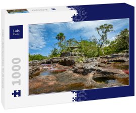Lais Puzzle - Caño Cristales Kolumbien , Rio de Colores - 1.000 Teile