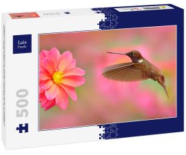 Lais Puzzle - Vogel mit rosa Blume. Kolibri Brown Inca, Coeligena wilsoni, fliegt neben schöner rosa Blüte, Kolumbien - 500 Teile