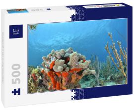 Lais Puzzle - Korallenriff in San Andres Kolumbien - 500 Teile
