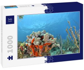 Lais Puzzle - Korallenriff in San Andres Kolumbien - 1.000 Teile