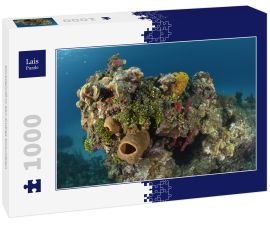 Lais Puzzle - Korallenriff in San Andres Kolumbien - 1.000 Teile
