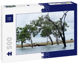 Lais Puzzle - Wasserspiegel im El Tuparro Park Kolumbien - 500 Teile
