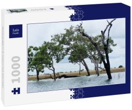 Lais Puzzle - Wasserspiegel im El Tuparro Park Kolumbien - 1.000 Teile