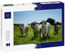 Lais Puzzle - Kaffee-Kulturlandschaft, Landwirtschaft und kolumbianisches Landleben, Kaffeeanbau und landwirtschaftliche Produkte in Chinchiná Caldas Kolumbien - 500 Teile