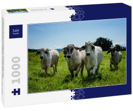 Lais Puzzle - Kaffee-Kulturlandschaft, Landwirtschaft und kolumbianisches Landleben, Kaffeeanbau und landwirtschaftliche Produkte in Chinchiná Caldas Kolumbien - 1.000 Teile