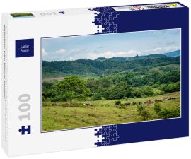 Lais Puzzle - landwirtschaftliche Produkte in Florencia Caquetá, Papaya, Maracuya, Wassermelone, Kakao, Viehzucht, Kolumbien - 100 Teile