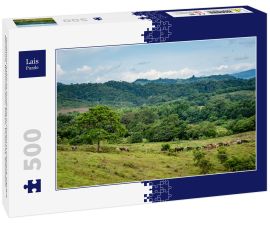 Lais Puzzle - landwirtschaftliche Produkte in Florencia Caquetá, Papaya, Maracuya, Wassermelone, Kakao, Viehzucht, Kolumbien - 500 Teile