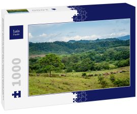Lais Puzzle - landwirtschaftliche Produkte in Florencia Caquetá, Papaya, Maracuya, Wassermelone, Kakao, Viehzucht, Kolumbien - 1.000 Teile