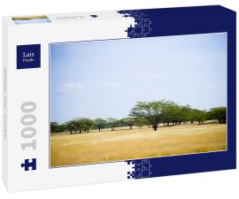 Lais Puzzle - Valledupar, Cesar, Kolumbien - 1.000 Teile