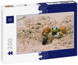 Lais Puzzle - Kleine Krabbe auf dem Strandsand der Insel San Andres, Kolumbien - 200 Teile