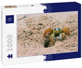 Lais Puzzle - Kleine Krabbe auf dem Strandsand der Insel San Andres, Kolumbien - 1.000 Teile