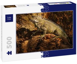 Lais Puzzle - Leguan klettert auf einen Baum in Kolumbien - 500 Teile