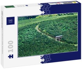 Lais Puzzle - Kaffee- und Orangenanbau in Chinchiná Caldas, Kolumbien, Kaffee-Kulturlandschaft - 100 Teile