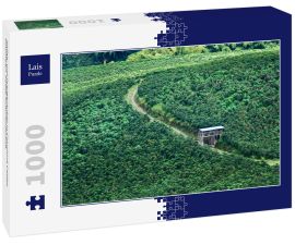 Lais Puzzle - Kaffee- und Orangenanbau in Chinchiná Caldas, Kolumbien, Kaffee-Kulturlandschaft - 1.000 Teile