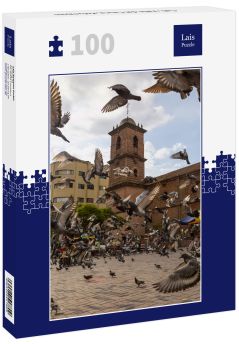 Lais Puzzle - Cali, Valle del Cauca, Kolumbien - 100 Teile