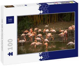 Lais Puzzle - Cali, Valle del Cauca, Kolumbien - 100 Teile
