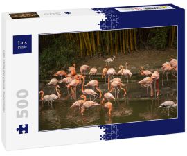Lais Puzzle - Cali, Valle del Cauca, Kolumbien - 500 Teile