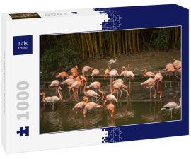 Lais Puzzle - Cali, Valle del Cauca, Kolumbien - 1.000 Teile