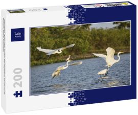 Lais Puzzle - Silberreiher (Ardea alba) auf dem Rio Magdalena, Santa Cruz de Mompox, Bolivar, Kolumbien - 200 Teile