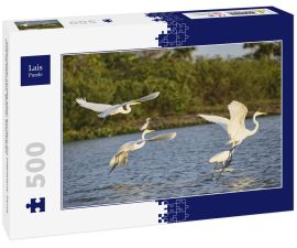 Lais Puzzle - Silberreiher (Ardea alba) auf dem Rio Magdalena, Santa Cruz de Mompox, Bolivar, Kolumbien - 500 Teile