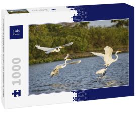 Lais Puzzle - Silberreiher (Ardea alba) auf dem Rio Magdalena, Santa Cruz de Mompox, Bolivar, Kolumbien - 1.000 Teile