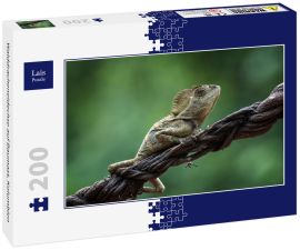 Lais Puzzle - Walddracheneidechse auf Baumast, Kolumbien - 200 Teile