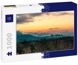 Lais Puzzle - Frailejones Krieger der Zeit im Land der Wolken, Kolumbien - 1.000 Teile