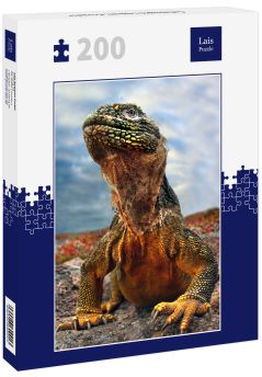 Lais Puzzle - Galapagos Leguan, Ecuador - 200 Teile
