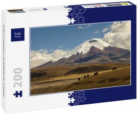 Lais Puzzle - Vulkan Cotopaxi und Wildpferde, Ecuador - 200 Teile