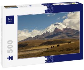 Lais Puzzle - Vulkan Cotopaxi und Wildpferde, Ecuador - 500 Teile