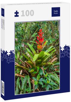 Lais Puzzle - Bromelie im Nationalpark Podocarpus im Süden Ecuadors - 100 Teile